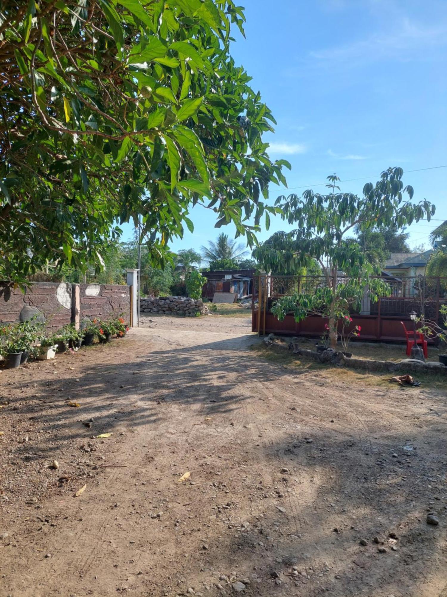 D'Ru Guest House Labuan Bajo Buitenkant foto